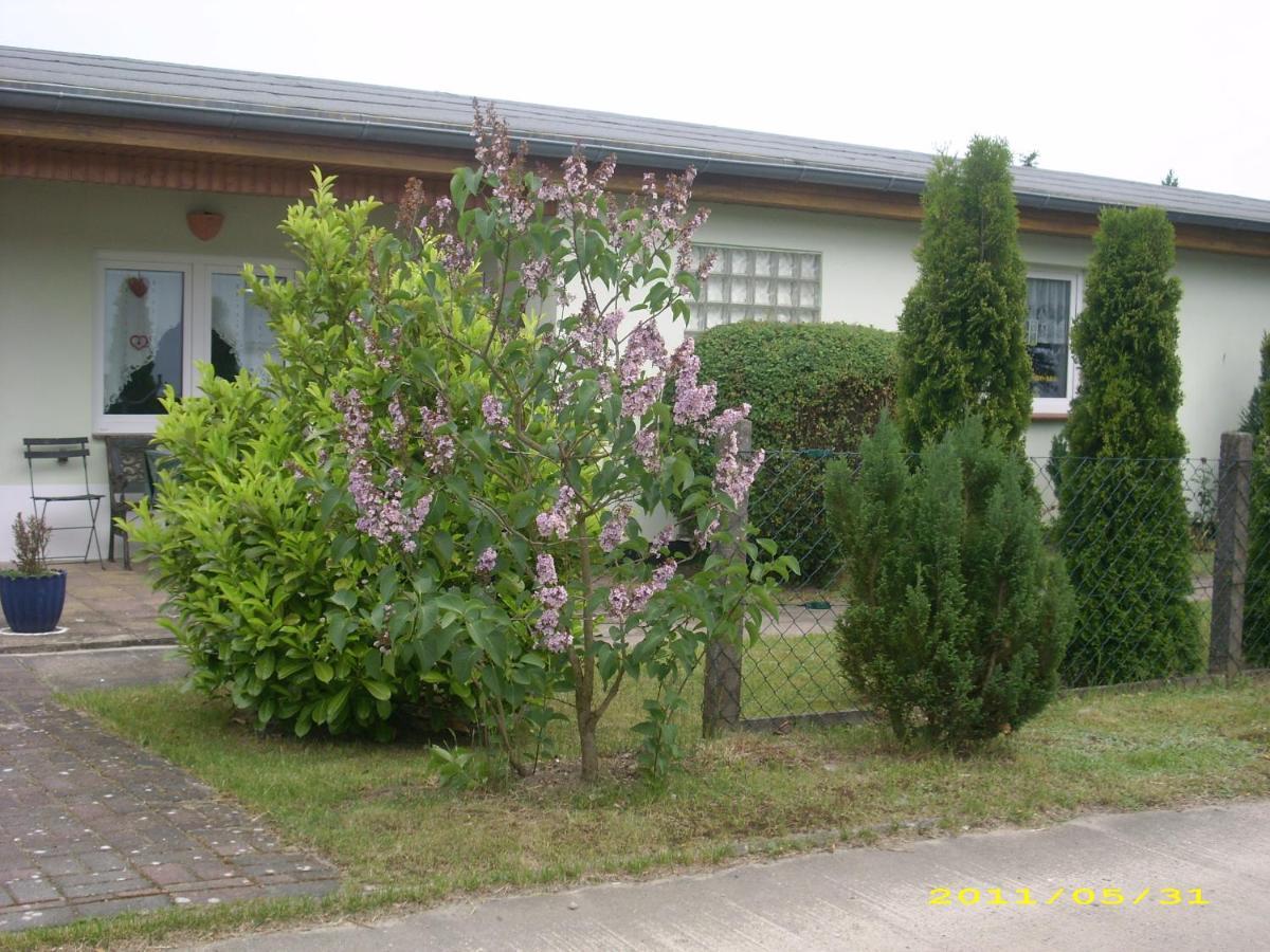 Ferienhaus Am Neuklostersee Buitenkant foto