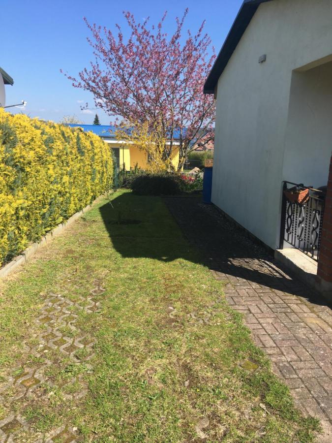 Ferienhaus Am Neuklostersee Buitenkant foto